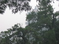 IMG_0158
