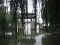 IMG_0181