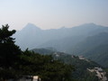 IMG_0467