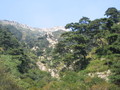 IMG_0475