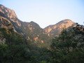 IMG_0505