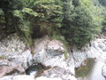 IMG_0758