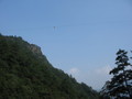 IMG_0790