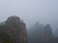 IMG_0828