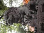PICT0059