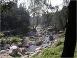 PICT0085