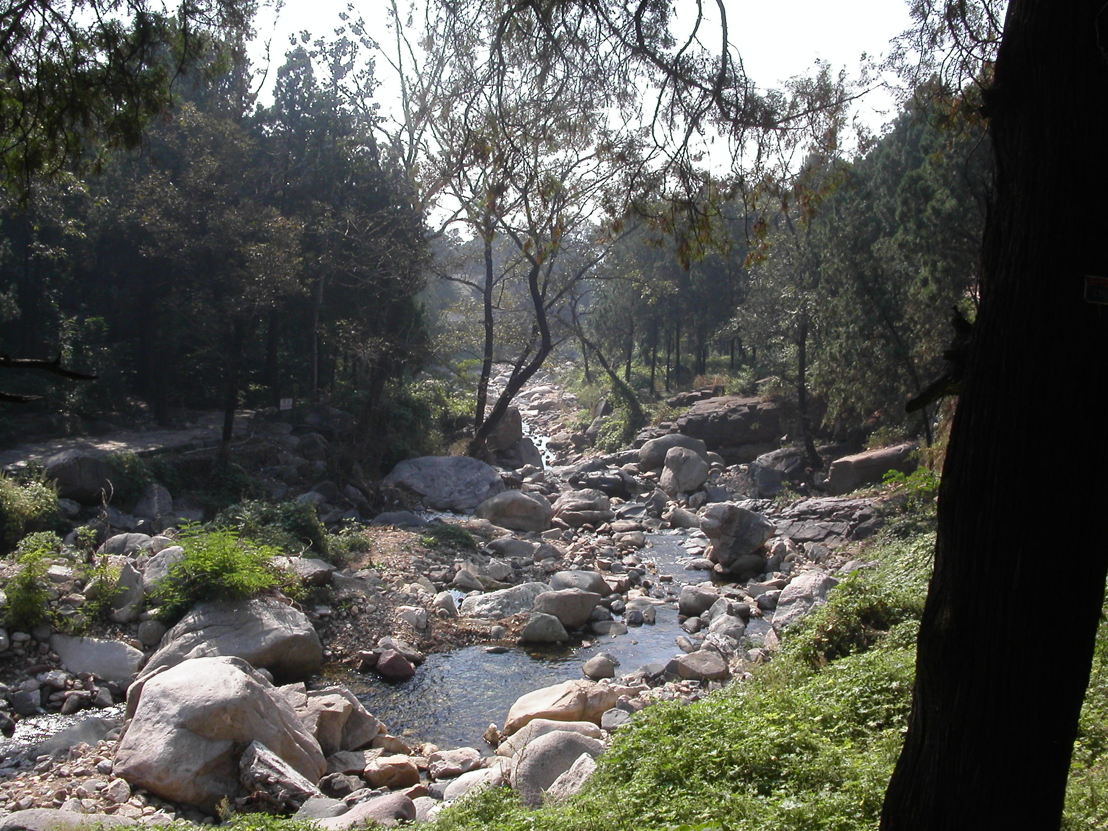 PICT0085