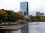 hatch-shell-back