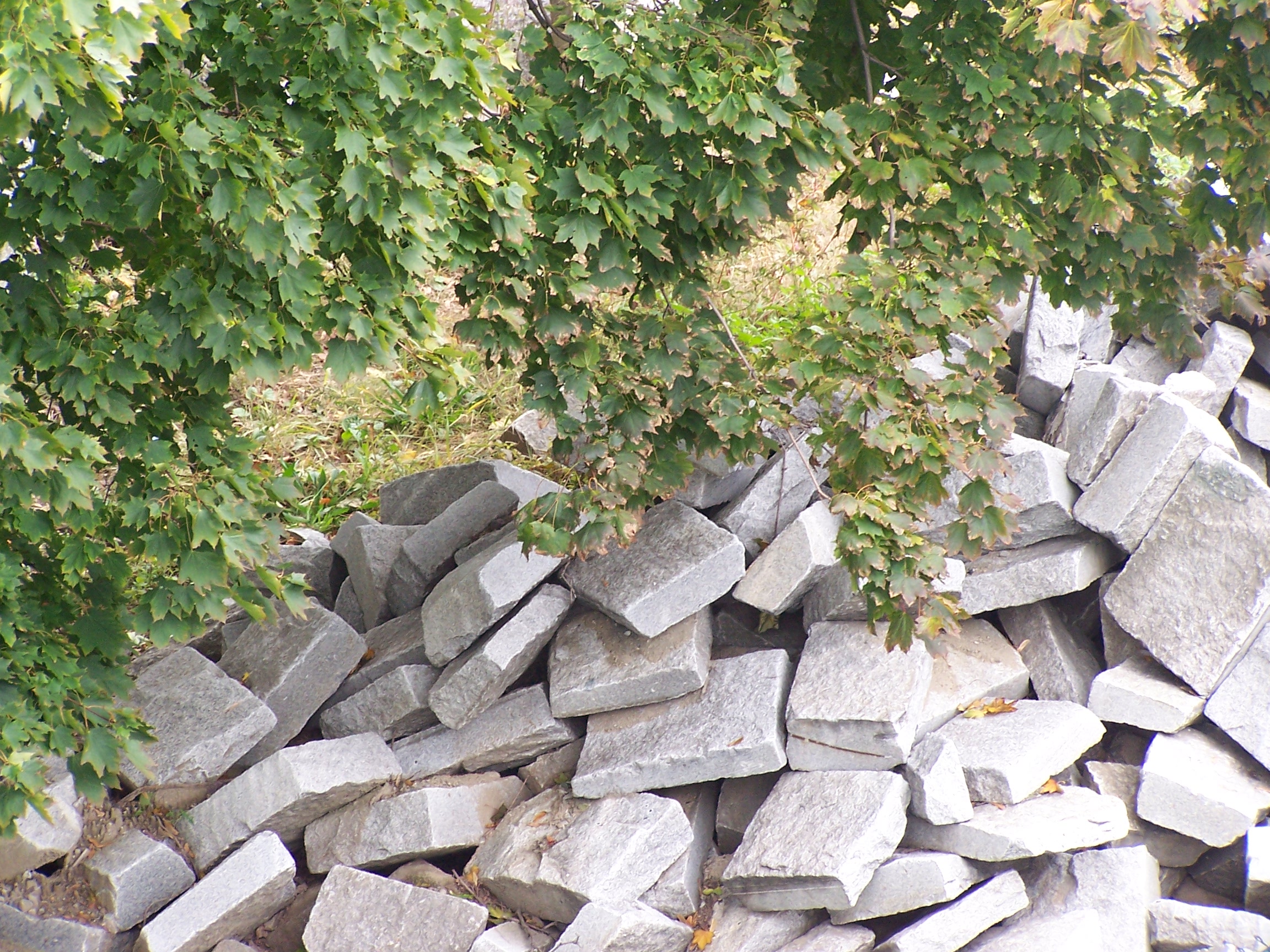 stones-under-tree