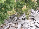 stones-under-tree