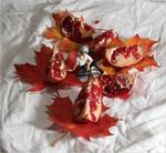 kaoru-pomegranite-leaves-2