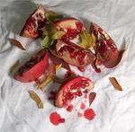 pomegranite-and-leaves-1