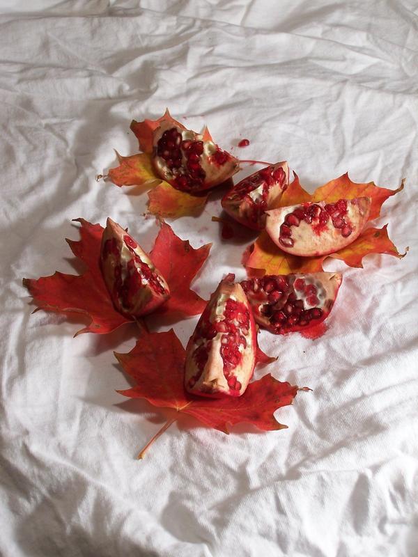 pomegranite-and-leaves-2