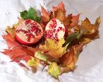 pomegranite-and-leaves-3