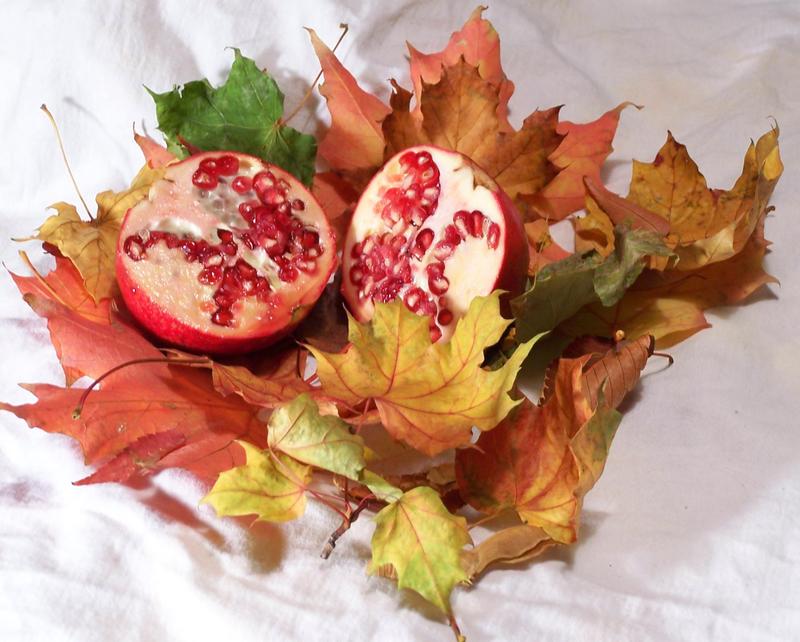 pomegranite-and-leaves-3