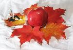 whole-pomegranite-kaoru-leaves